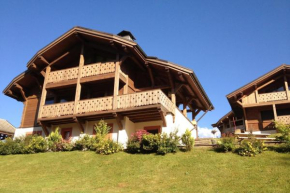 Chalet Amitie near supervised lake, 100 m slopes, multi-activity pass FREE, Les Gets